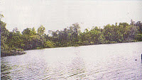 Danau Bungkang