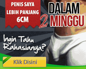 obat pembesar penis