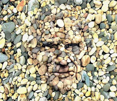 Stone Face illusion