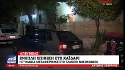 Σύμφωνα με τα όσα μετέδωσε το κεντρικό δελτίο ειδήσεων του ANT1 η γυναίκα είναι 29 ετών και τον πυροβολισμό τον δέχτηκε μέσα στο σπίτι της. ...