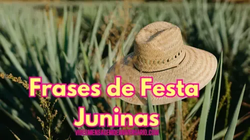 60 Frases de Festa Juninas Para Descontrair e Entra no Clima de Quadrilhas, Canjica e Pamonha.