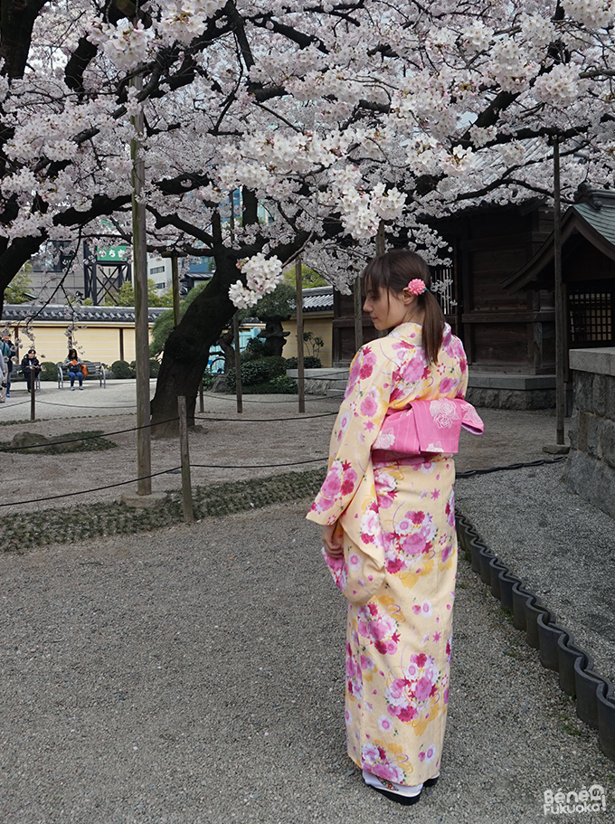 ベネの福岡！ふくおか着物ウォーク　桜　東長寺