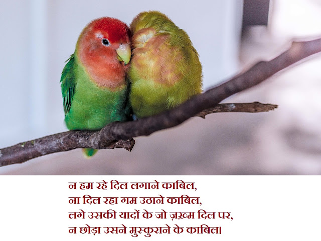 latest Dard shayari in hindi with an image 