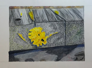 colour aquarelle pencil drawing of yellow fungus growing on wood, artist Linzé Brandon