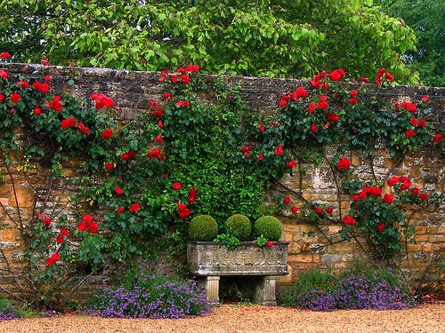 Brick Garden Wall Designs