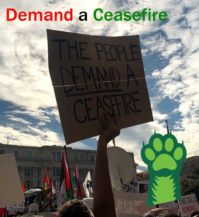 ACTION: Demand a Permanent Ceasefire Now!