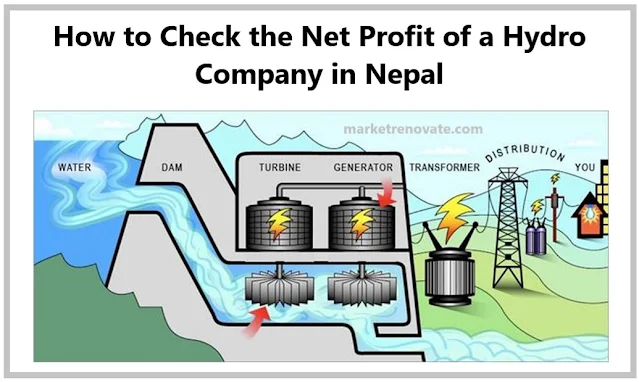 how-to-check-the-net-profit-of-a-hydro-company-in-nepal