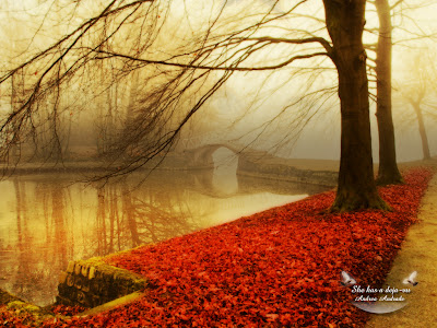 Autumn Wallpaper HD Widescreen Desktop