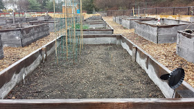 garden beds ready for planting