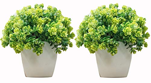 Decorating Lives Set of 2 Mini Cute Artificial Plants For Garden Outdoor Plants
