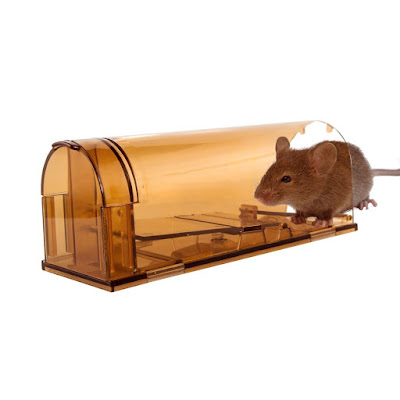 bait, Mic repeller, Mice repeller, pest control, pest control rat, Pest Repeller, Smart Mouse Trap, How To Get Rid Of Mice