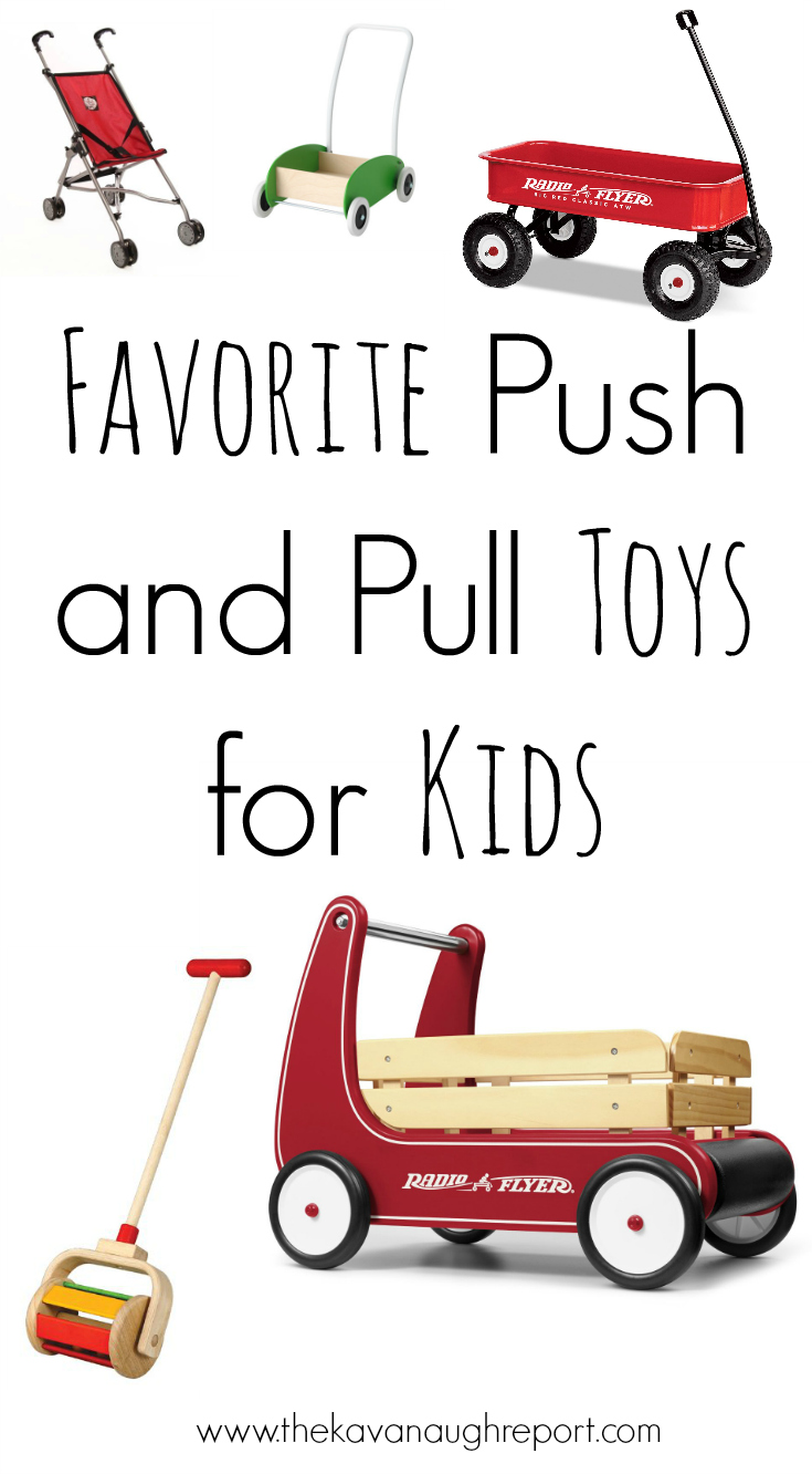 Montessori Friendly Push and Pull Toys