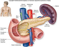 Holistic Diabetes Treatment Type 1 : Effectively Monitoring Blood Glucose Levels