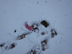 IMG_0967