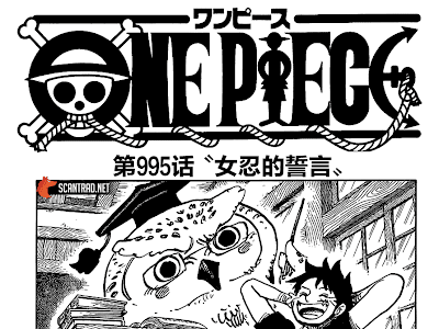 最高のコレクション one piece 女 137031