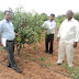 ಶ್ರಾವಣದಲ್ಲಿಯೂ ಮಾವು ಬೆಳೆದ ಪ್ರಗತಿಪರ ರೈತ 