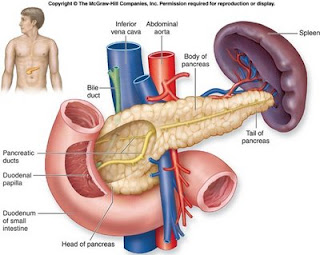 gejala-diabetes-melitus