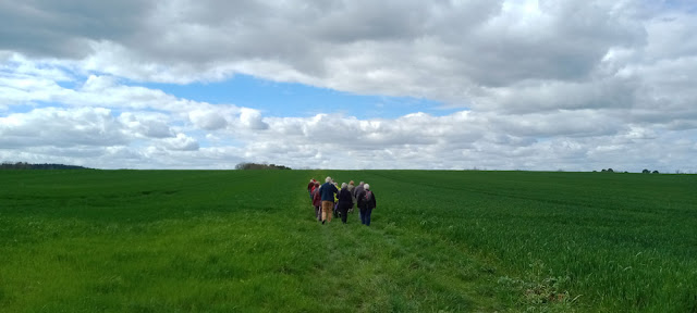 Walkers in winter wheat fields, Indre et Loire, France. Photo by Loire Valley Time Travel.