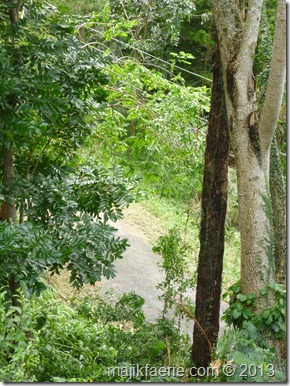 P1090996