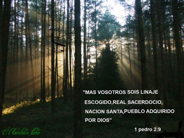 mensajes cristianos de amor. mensajescristianos