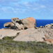 View album