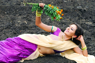 Actress Sonu Chandrapal Hot Stills In Half Saree