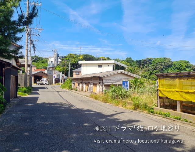 ドラマ「猫」のロケ地を訪ねて三浦半島へ