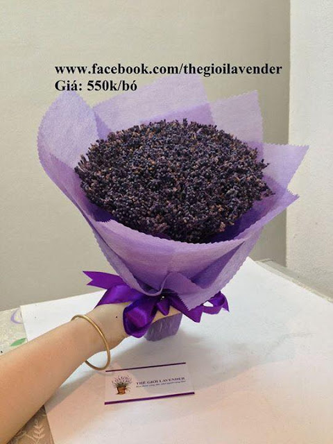 hoa lavender khô