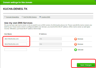 Вводим адреса собственных DNS-серверов на dot.tk