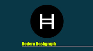 Hedera Hashgraph, HBAR coin