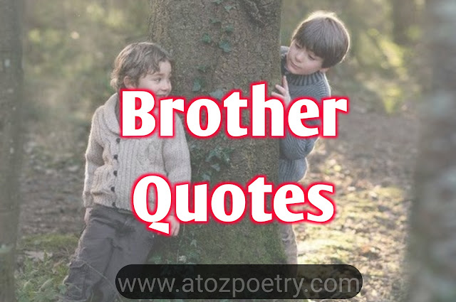 brother quotes from sister,brother quotes for instagram,best brother quotes,big brother quotes,younger brother quotes,brother quotes funny,brother poetry in english,brother poetry 2 lines,brother poetry in english 2 lines,sad poetry for brother in urdu,brother poetry in punjabi,poetry for big brother in urdu,
