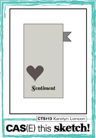 CTS13 Graphic