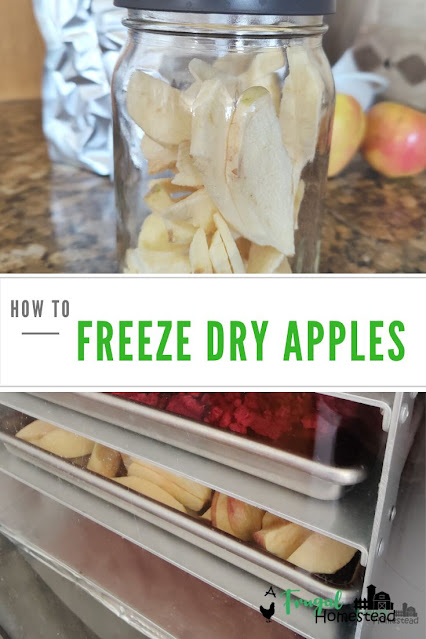 Learn how to freeze dry apples using a freeze dryer.