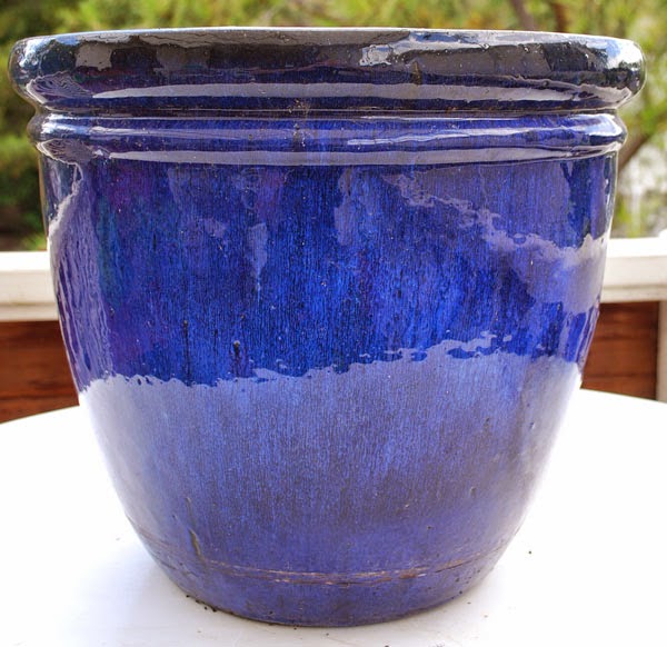  outdoor  ceramic  pot How to Maintain Outdoor  Glazed 