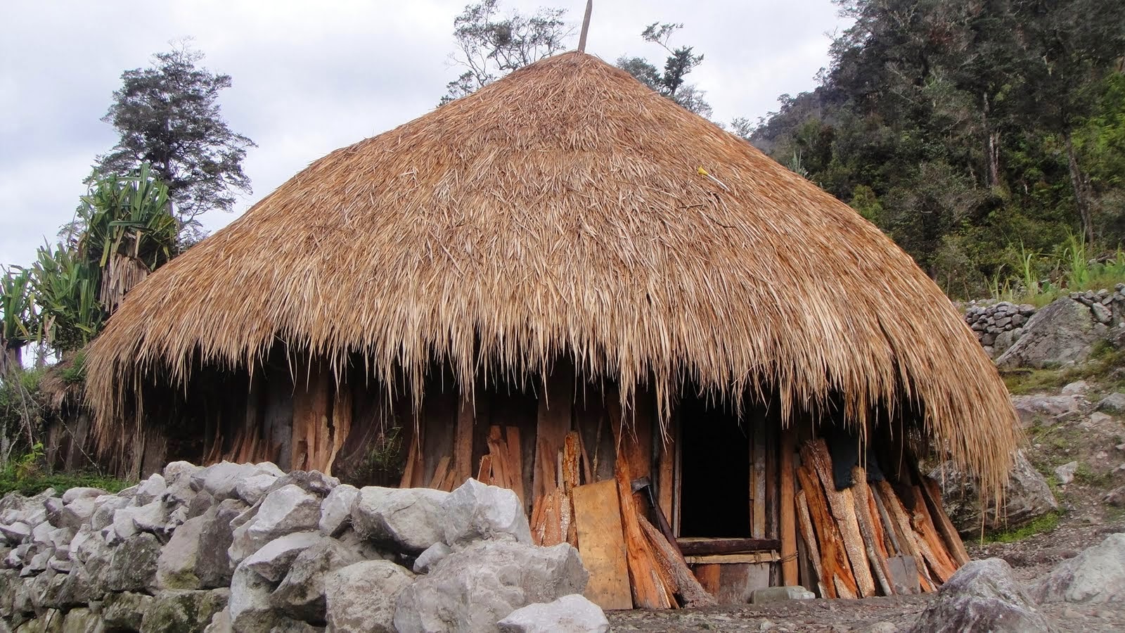  maluku utara rumah adat baileo provinsi papua barat rumah adat honai