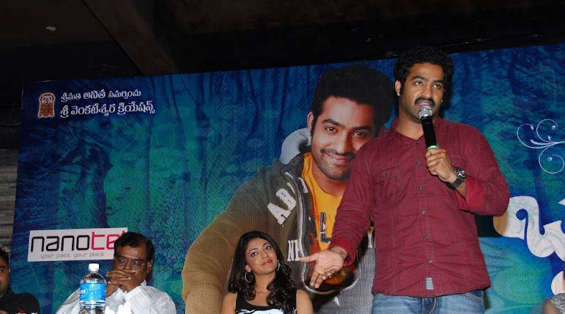 ‘Brindaavanam’ Movie Success Meet leaked images