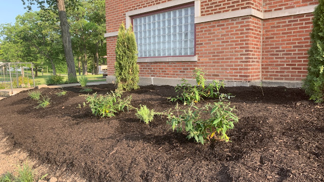 Pollinator Garden