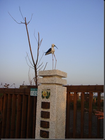 DSC00950