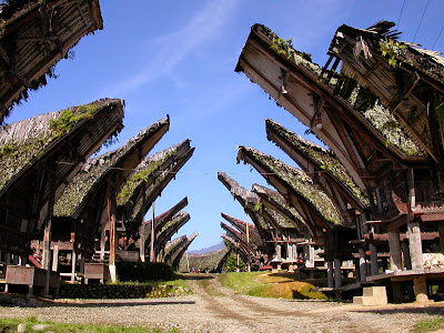 Tana Toraja