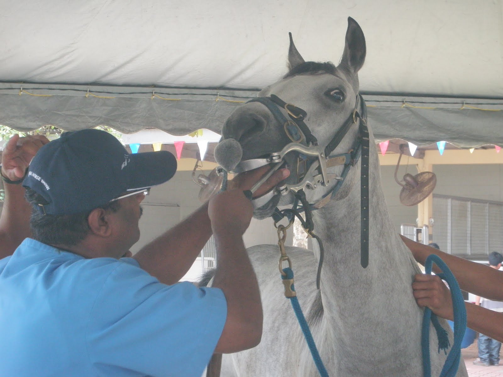 Roots: Horse Carnival 2011 @ Selangor Turf Club