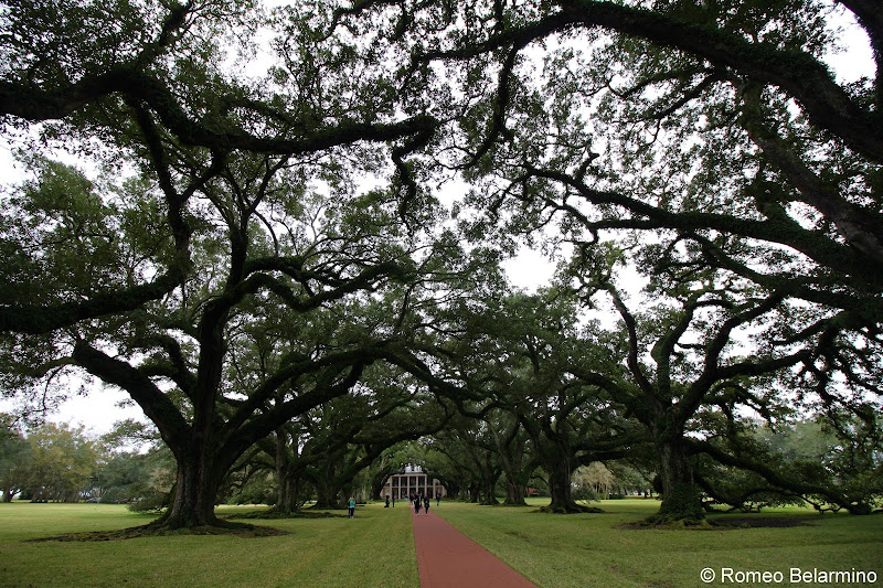 Oak Alley Plantation Things to Do in New Orleans