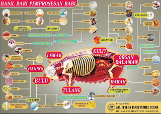 Produk Yang Menggunakan Babi Sebagai Bahan Pembuatan [ www.BlogApaAja.com ]