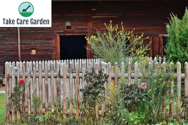 Jardim Simples: Aprenda como fazer e dicas de cuidados