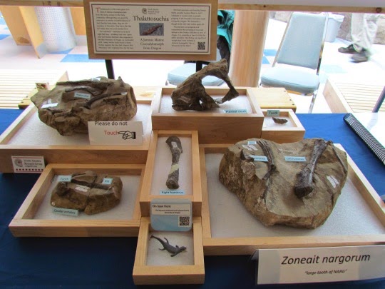 OSUHatfieldMarineScienceCenter-49-2014-04-26-15-45.jpg