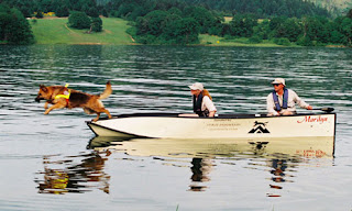 paws for vets - Water search dog