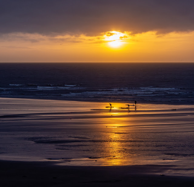 Photo of bait diggers at sunset