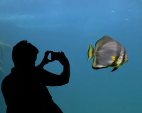 Child with autism in aquarium