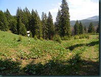 DSCN7830