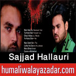 http://www.humaliwalayazadar.com/2016/09/sajjad-hallauri-nohay-2017.html