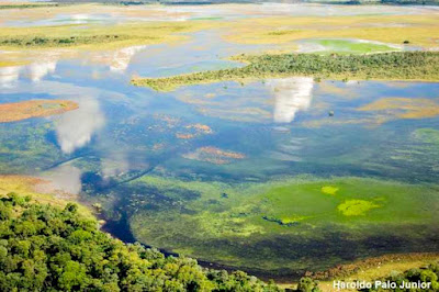 Projetos ambientais, apoio financeiro, fundação grupo boticário de proteção a natureza, conservação da natureza, meio ambiente, iniciativa, conservação, biodiversidade, pantanal, unidade de conservação, extinção, animais em extinção, natureza